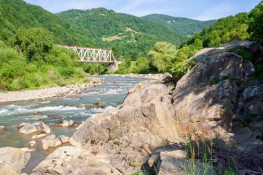 Nehir, Karpat Dağları 'ndaki vadiden akar. Sığ su taşları ortaya çıkarır. Yazın güneşli bir sabahta güzel bir manzara.
