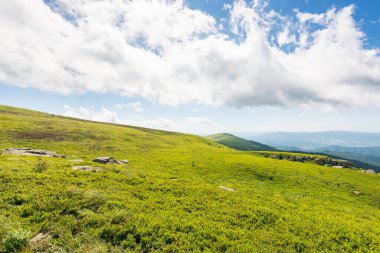 Karpat Dağları 'nın yeşil çayırları. Alp doğa manzarası. Taşlar yemyeşil çimenler arasında yuvarlanan tepelerde bulutlu mavi bir gökyüzünün altında. Ukrayna 'da yaz tatili