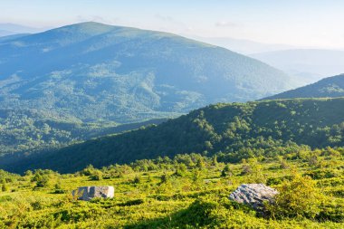 Çimenli yamaçta taşlar olan yuvarlak bir arazi. Güneşli bir sabah. Yazın pürüzsüz Karpat Dağları 'nın güzel dağlık manzarası. Parlak mavi gökyüzünde bulutlar. Manzaralı uzak vadi manzarası