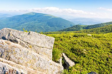 Çimenli yamaçta taşlar olan yuvarlak bir arazi. Güneşli bir sabah. Yazın pürüzsüz Karpat Dağları 'nın güzel dağlık manzarası. Parlak mavi gökyüzünde bulutlar. Manzaralı uzak vadi manzarası