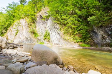 Kıyısında taşlar olan dağ nehri. Açık hava macerası. Kayalık dağ yamacında ormanı olan manzaralı bir yer. Güneşli bir yaz gününde doğa manzarası. tatil sezonu