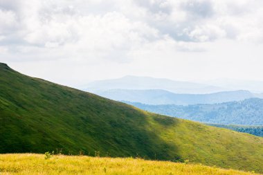 Yazın Borzhava Tepesi manzarası. Cennet gibi bir hafta sonu. Güneşli bir günde Karpat Dağları 'nın Alp manzarası. Çimenli çayırlar ve yuvarlanan tepeler. Ukrayna 'ya git. manzaralı doğa arkaplanı