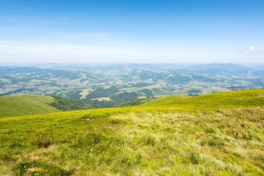 Çayırlı dağ manzarası. Yazın Alpine Hill 'den güzel bir manzara. Ukrayna 'nın Karpat Alpleri