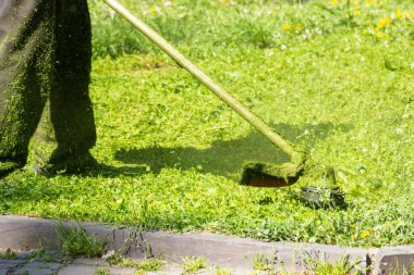 Parkta çim biçme makinesiyle kesilmiş. Güneşli arka plan. Bahçe bakımı doğa konsepti. Bahar mevsiminde şehir doğası