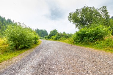 Taşlı yol Transcarpathia kırsalından geçiyor. Orman tepelerinin arasındaki kırsal bölgede huzurlu bir manzara. bulutlu yaz gökyüzü. boş mevsim 