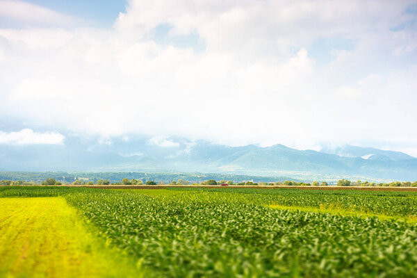 пейзаж с сельским полем. гористая сельская местность Румынии летом. облачное небо. красивый вид