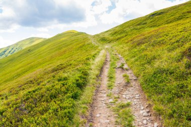 Dik tepeye giden yol. Yazın Karpatlar 'ın dağ manzarasıyla seyahat etmek. Açık hava macerası. Güneşli bir günde mavi gökyüzünde bulutlar olan Ukrayna 'nın çimenli dağlık manzarası