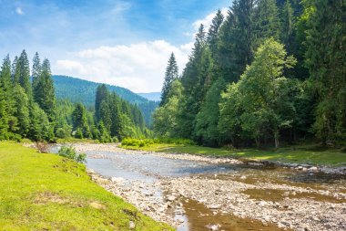Tereblya nehri ile Ukrayna 'nın dağlık manzarası. Çimenli sahil boyunca tepenin üzerindeki orman. Yazın güneşli bir günde mavi gökyüzünün altında bulutlu bir manzara. Alp yabanda temiz su