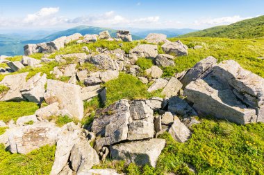 Yazın Karpatlar 'ın sıradağlık arazisi. Tepenin kenarındaki çimenli çayırlar arasında sabah ışığında kocaman beyaz keskin taşlarla harika bir dağ manzarası. Uzaktaki açık manzaraya çarpıcı bir manzara