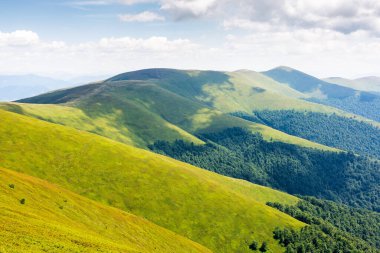 Yeşil dağ manzarası ve yuvarlanan tepeler. Tatil ve yürüyüş sezonu. Güneşli bir günde güzel bir Borzhava bayırı manzarası. pitoresk Karpat Alpleri