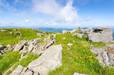 Çayır üzerinde kayalar olan bir manzara. Vahşi çiçeklerle dolu doğal bir ortam. Yazın yeşil dağ manzarası. Ufukta mavi gökyüzü bulutlu güzel bir manzara. tatil sezonu