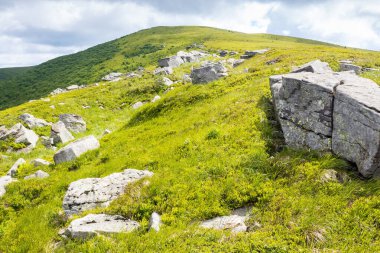 Yamaçtaki çimlerin arasında kayaların olduğu bir manzara. Vahşi doğa turizmi için güzel bir yer. Güneşli bir gün. Yazın Karpat Dağları manzarası. Tatil sezonu. Tepedeki çayır
