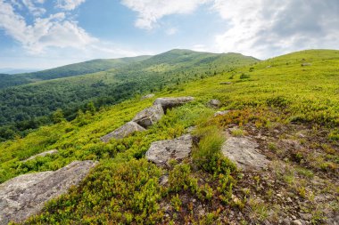 Alp çayırının yamacındaki taşlar ve kayalar. Doğal ortam. Bulutlu gökyüzü ile yaz dağı manzarası. Arka planda çimenli tepe var. Açık manzaralı hareketli manzara