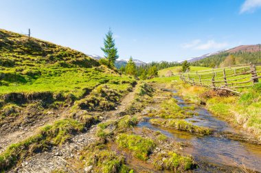 İlkbaharda Ukrayna kırsal manzarası. Doğal ortam. Güneşli bir sabah. Çitin arkasındaki tepenin üzerinde çimenli tarlaları olan dağlık bir kırsal bölge. Vadideki dere. borzhava sırtı