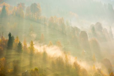 Orman sisli tepede güneş doğarken. Sabah ışığında Karpatlar 'ın manzarası. Sonbahar havasında çok güzel bir arka plan. Güzel manzara. Sonbahar mevsiminde kırsal