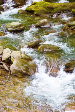 Taşlar ve kayalar arasında hızlı su akıntısı. Romanya dağlarında güzel bir doğa geçmişi var. Yukarıdan yakın görünüm