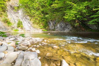 Kıyısında taşlar olan dağ nehri. Şeffaf su. Kayalık dağ yamacında ormanı olan manzaralı bir yer. Güneşli bir yaz gününde doğa manzarası. seyahat arkaplanı