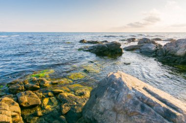 Karadeniz 'de güzel bir gün doğumu. Manzaralı deniz manzarası. Sabah ışığında mavi gökyüzünde kayalık sahil ve bulutlar. Yaz tatilleri ve hava değişimi konsepti. seyahat arkaplanı