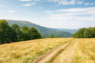 Yazın sonlarında Karpatlar 'ın dağ manzarası. Yürüyüş ve seyahat için arka plan. Çimenli çayırın arkasındaki tepede kayın ormanları olan güzel bir doğa. Apetska tepesi güneşli bir günde