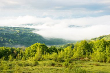 Sis ve bulutlarda doğanın manzarası. Güneşli bir sabahta panoramik kırsal alan. İlkbaharda tepelerde yaprak döken orman. Uzakta kırsal vadi