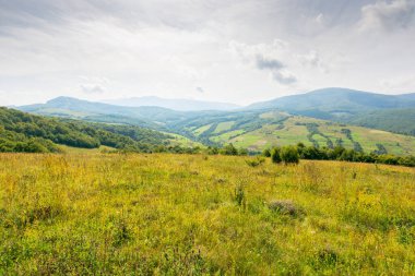 Tepenin üzerinde orman olan dağ manzarası. Alp Vadisi. Ukrayna 'nın kırsal otlağı. Bulutlu gökyüzü ile sıcak sonbahar havası. güzel manzara