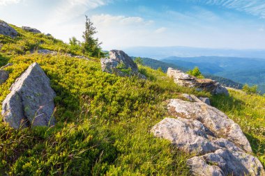 Yazın mavi gökyüzü olan dağ manzarası. Yolculuk için tepe ile çarpıcı bir arka plan. Alp turizmi ve yürüyüş için güzel bir manzara. Tatil için manzara ve sabah ışığında açık hava macerası