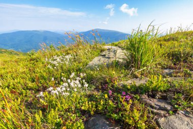 Yazın mavi gökyüzü olan dağ manzarası. Yolculuk için tepenin ardında doğa var. Alp turizmi ve yürüyüş için güzel bir manzara. Tatil ve sabah ışığında açık hava macerası için güzel bir manzara.