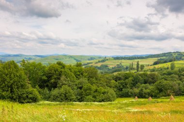 Yazın kırsal alan ve dağ manzarası. Taşra tarım arazisi. Yeşil doğa çimenli ve tepeli. Gökyüzünde bulutla seyahat için kırsal bir manzara. Güzel manzaralı turizm arka planı