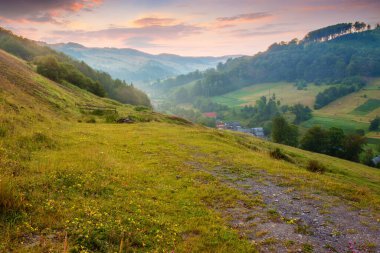 Şafak vakti gökyüzü olan kırsal vadi manzarası. Yazın doğa. Dağdaki yeşil çayır ve tepedeki orman. Manzaralı seyahat manzarası. Açık hava turizmi için çimenleri olan güzel bir kırsal alan.