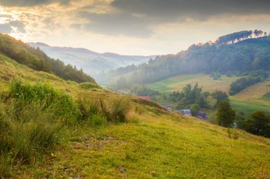 Şafak vakti gökyüzü olan kırsal vadi manzarası. Yazın doğa ortamı. Dağdaki yeşil çayır ve tepedeki orman. Manzaralı seyahat manzarası. Açık hava turizmi için çimenleri olan güzel bir kırsal alan.