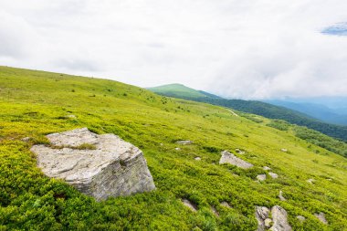 Yazın alp manzarası. Hava bulutlu. Ukrayna 'nın Karpat Dağları' ndaki manzara. Çimenli tepelerde ve çayırlarda taşlar