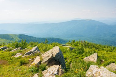Karpatlar 'ın dağlık düzlüklerindeki alp çayırları da runa olarak bilinir. Ukrayna Dağları. Yazın bir tepenin kenarındaki çimen ve taşlar. Güneşli bir öğleden sonra gökyüzünde bulutlarla uzak vadiye bak.