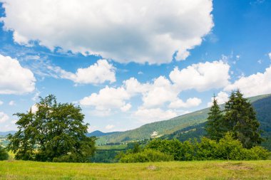 Yazın dağlık Karpatya kırsal manzarası. Çimenli Alp Tepesi 'ndeki köknar ağacı. Ukrayna 'nın dağlık bölgelerinde yaz tatili. uzak kırsal vadiye bakın.