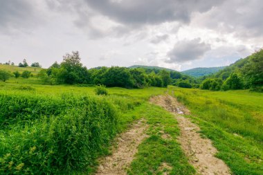 Orman kırsalından geçen toprak yol. Bereketli ormanlık. Dağlardaki güzel yaz manzarası. Fırtınadan önce doğa manzarasında macera. dramatik hava