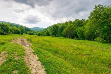Orman kırsalından geçen toprak yol. Off-road yolu. Dağlardaki güzel yaz manzarası. Fırtınadan önce doğa manzarasında macera. Karanlık gökyüzü