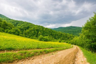 Orman kırsalından geçen toprak yol. Yaprak döken ağaçlar. Dağlardaki güzel yaz manzarası. Fırtınadan önce doğa manzarasında macera. kuru çamur izi