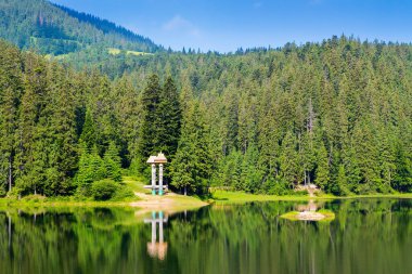 Ladin Ormanı 'nın ortasındaki göl. İnanılmaz bir Carpathian seyahat yeri. Sakin su yüzeyine yansıyan yeşil ağaçlar. Güneşli bir günde harika bir yaz manzarası