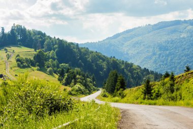 Eski kır yolu dağlık kırsal kesimde dönüyordu. Kırsal alan. Harika bir yaz manzarası. Yol boyunca ladin ormanları. Parlak güneşli hava. şehir dışına seyahat kavramı
