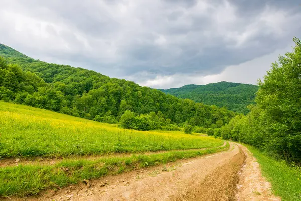 Orman kırsalından geçen toprak yol. Yaprak döken ağaçlar. Dağlardaki güzel yaz manzarası. Fırtınadan önce doğa manzarasında macera. kuru çamur izi