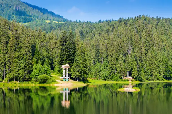 Ladin Ormanı 'nın ortasındaki göl. İnanılmaz bir Carpathian seyahat yeri. Sakin su yüzeyine yansıyan yeşil ağaçlar. Güneşli bir günde harika bir yaz manzarası