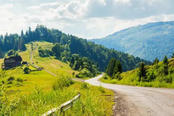Eski kır yolu dağlık kırsal kesimde dönüyordu. Harika bir yaz manzarası. Yol boyunca ladin ormanları. Parlak güneşli hava. Ülke dışına seyahat ve açık hava macera konsepti