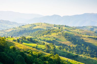 Yazın Transcarpathia kırsalında. Tatil sezonu. Sabah ışığında tepelerin yuvarlandığı kırsal bir manzara. Güneşli bir günde Ukrayna 'nın Karpat Dağları manzarası. Avrupa 'da alp tarlaları