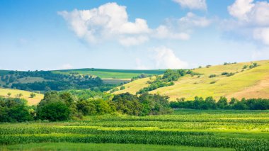 Romanya 'nın güzel kırsalları. Manzaralı. Güneşli bir gün. Dağlardaki harika yaz manzarası. Yeşil alan ve yuvarlanan tepeler. Kırsal alan. taşra Avrupası