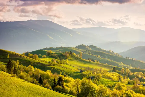 Gün batımında tepeleri yuvarlanan kırsal bölge. Yeşil çevre. Hava bulutlu. Ukrayna 'nın Karpat Dağları manzarası. Yamaçtaki orman ve çimenli çayır. Harika bir açık hava macerası