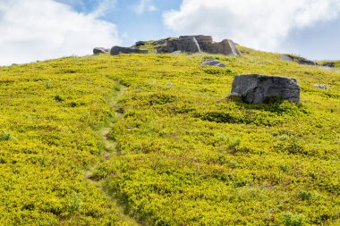 Yol yokuş yukarı. Dar yürüyüş yolu. Alp manzaralı çimenli çayır ve yaz aylarında kayalar. Güneşli bir hava. yeşil ortam