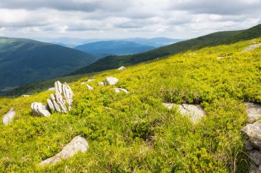 Yazın bulutlu gökyüzü olan dağ manzarası. Yokuştaki kaya parçası. Bir tepenin yamacındaki çimlerin arasında kayaların arasında doğa gezisi. Karpatlar 'ın güzel dağlık manzarası