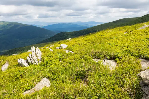 Yazın bulutlu gökyüzü olan dağ manzarası. Yokuştaki kaya parçası. Bir tepenin yamacındaki çimlerin arasında kayaların arasında doğa gezisi. Karpatlar 'ın güzel dağlık manzarası