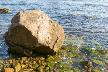 Çakıl taşlı deniz kıyısında büyük bir kaya. Şeffaf sakin su ve kıyıya yakın deniz yosunu. Yaz tatili güneşli bir sabahta sahilde