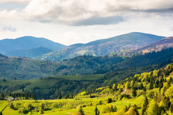 İlkbaharda kırsal alan. Akşam vakti çimenli tepeleri olan ormanlık Karpat dağları. Transcarpathia bölgesinin dışındaki köy. Bulutlu mavi gökyüzü