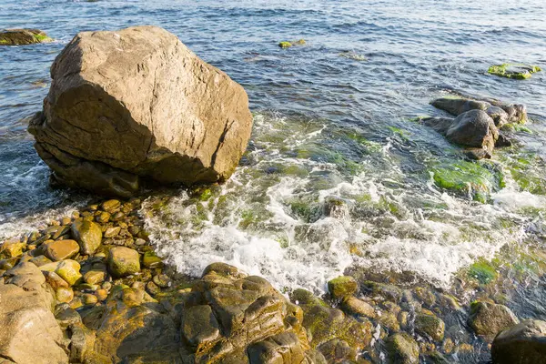 Çakıl taşlı deniz kıyısında büyük bir kaya. Şeffaf sakin su ve kıyıya yakın deniz yosunu. Yaz tatili güneşli bir sabahta sahilde